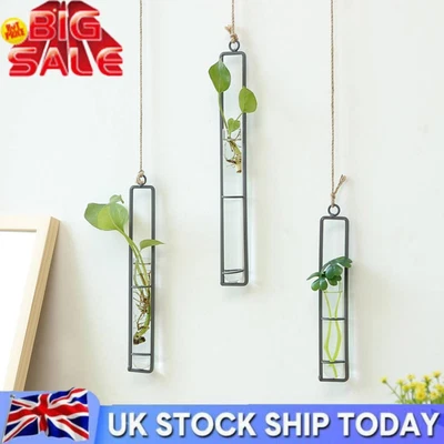 £9.24 • Buy UK-Transparent Glass Test Tube Planter Hydroponic Flower Vase Wall Hanging