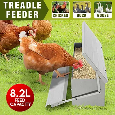 5KG Automatic Treadle Chicken Feeder Poultry Self Opening Ratproof Outdoor Metal • £23.50