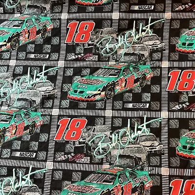 Fabric -Bobby Labonte #18 NASCAR Interstate Batteries Pontiac Car  22x44 Inches • $3.50