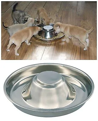 £7.45 • Buy Puppy Dog Pet Cat Litter Food Feeding Weaning Silver Stainless Feeder Bowl Dish