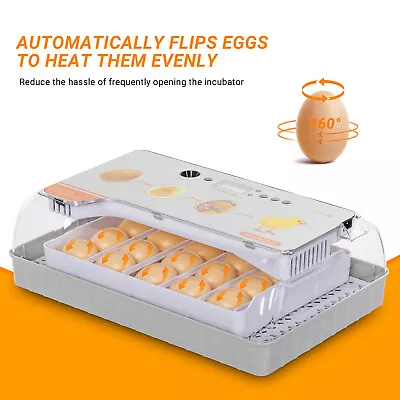 20 Digital Egg Incubator Chicken Hatcher Automatic Turning Temperature Control • $42.99