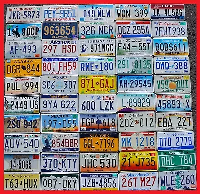 COMPLETE SET - ALL 50 STATES USA LICENSE PLATES LOT Of Good License Plate Tags • $224.99