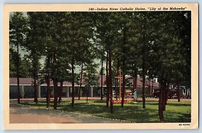 C1940 Catholic Shrine Lily Of The Mohawks Cross Indian River Michigan Postcard • $29.95