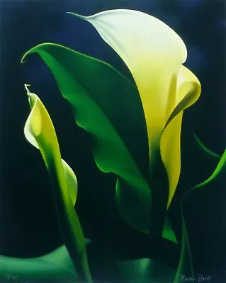 BRIAN DAVIS  Calla Lily  Flowers HAND SIGNED Limited Edition US Artist • $448