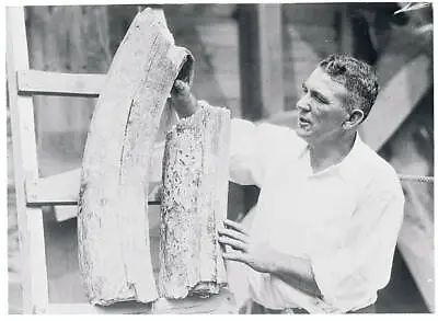 Cincinnati Unearths Mastodon's Tusk At Excavation Work Photo Show - 1925 Photo • $5.51