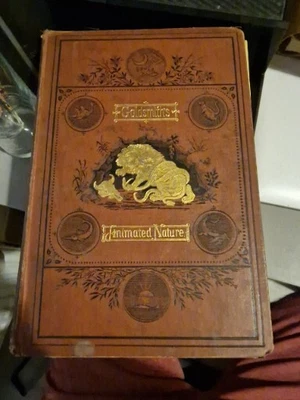 £100 • Buy 4x Goldsmiths Animated Nature 1874 Revised Editions