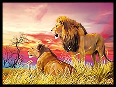 BLACK FRAMED LIONS UNDER AFRICAN SKY - 3D LENTICULAR PICTURE 425mm X 325mm • £14.95