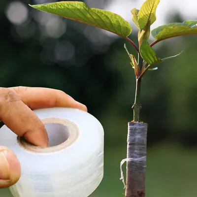 Parafilm Grafting Tape Plant Floral Tape Plant Nursery Stretchable Plant Tape AU • $13.39