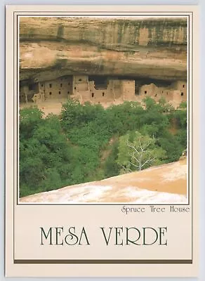 State View~Mesa Verde National Park CO~Spruce Tree House~Continental Postcard • $1.35
