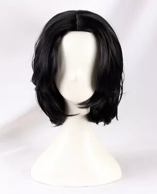 Men Natural Full Wigs John Wick Cosplay Wigs Black Short Wavy Hair Wig • $19.96