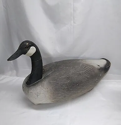 Vtg Canada Goose Hunting  Decoy Cork Body Wood Head Glass Eyes Waterfowl 21 X 13 • $98.89