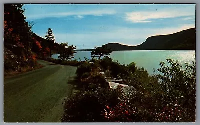 Postcard Sargent's Drive Bar Harbor Mt. Desert Island Maine • $4.46