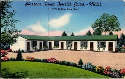 1955. Blossom Farm Tourist Court Motel. Milton Ny. Postcard Yd10 • $8