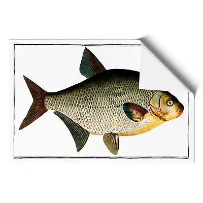 Bream Fish Animal M.E. Bloch Wall Art Print Framed Canvas Picture Poster Decor • £16.95