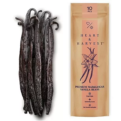 10 Madagascar Extract Grade Vanilla Beans Heart & Harvest 4  To 5  • $14.99