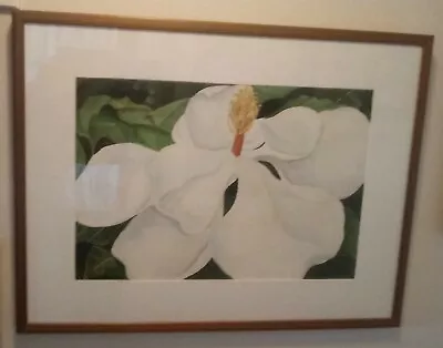 Magnolia Watercolor Painting Matt Wood Frame By Susan Govatos 2006  • £134.01