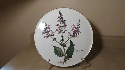 Botanica By Villeroy Boch Porcelain Round Cade Plate Platter Server 11.75  • $35