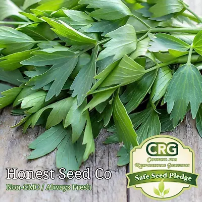 Lovage Seeds | Non-GMO Heirloom | Medicinal Culinary Herbs | Fresh Garden Seeds • $2.98