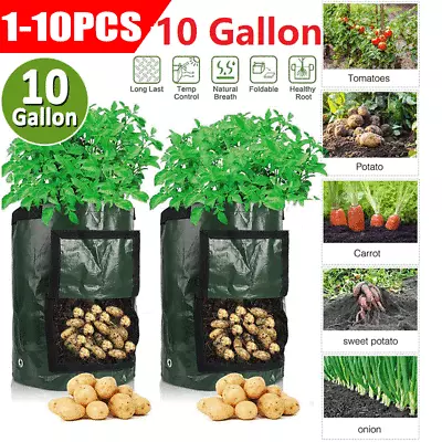 £5.39 • Buy 10 Gallon Plant Grow Bags Potato Fruit Vegetable Garden Planter Growing Bag NEW