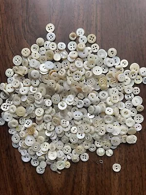 Lot Over 500 Vintage SHELL BUTTONS 1/2” MOP Mother Of Pearl Vintage  • $3
