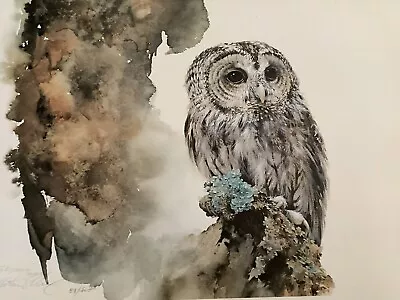 Morten E. Solberg  TAWNY  Young Owl~Hand-Signed Print~Limited Ed~88/1500~18x13  • $250