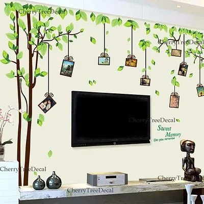X Large Family Tree Birds Photo Frames Wall Stickers Art Decals Home Decor UK • £8.95