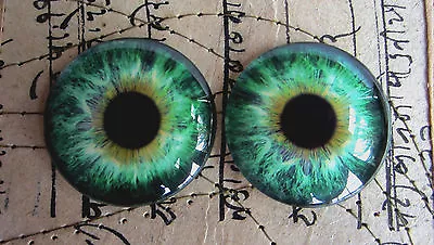 £9 • Buy Taxidermy Glass Dragon, Doll, Steampunk, Teddy Bear Eyes, Green 40mm Or 50mm