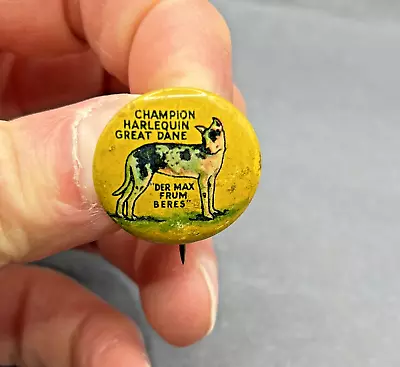 Vintage Champion Harlequin Great Dane Pinback Pin Button  Der Max Frum Beres  • $11.95