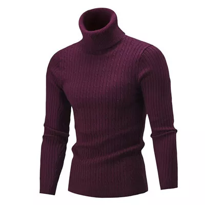 Men Turtleneck Long Sleeve Sweater Winter Basic Jumper Top Knitwear Pullovers # • $16.91