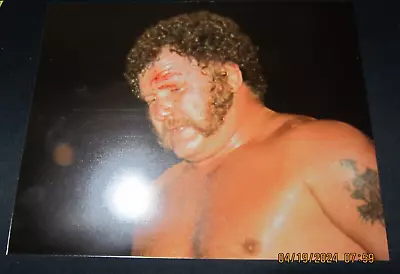 Maple Leaf Wrestling Vintage HARLEY RACE Glossy 8x10 Photo WWE WCW NWA WWF • $21.87