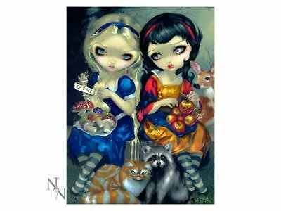 Stunning 3D Picture ALICE AND SNOW WHITE By Artist Jasmine Becket-Griffith • £1.99