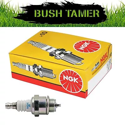 10 Pack NGK BPR6ES Spark Plug • $69.99