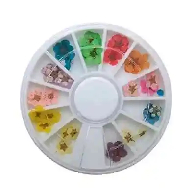Goliton 36PCS Nail Art Accessories Dried Flowers Colourful • £4.50