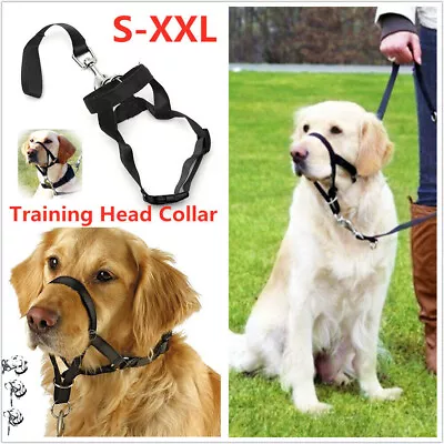 Dogalter Dog Harness Halter Halti Training Head Collar Gentle Leader Nylon Strap • £4.91