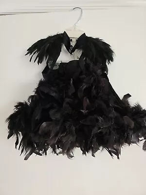 Pre-Owned Black Feather Skirt In Child Sma And Feather Wings In Child Med/Lge • $30