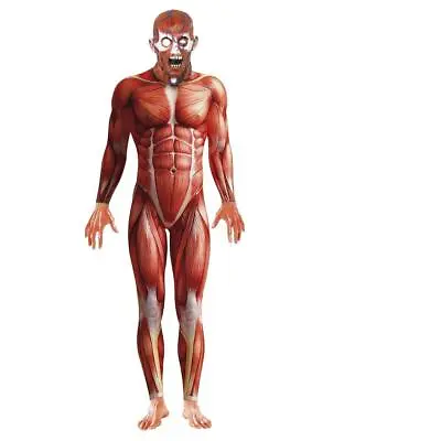 Adults Body Suit Anatomy Man Tight Muscle Fancy Dress Costume • £52.99