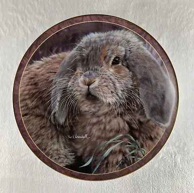 FUZZBALL Plate Bunny Tales Vivi Crandall #3 Rabbit Bradford Exchange Charming! • $14.95