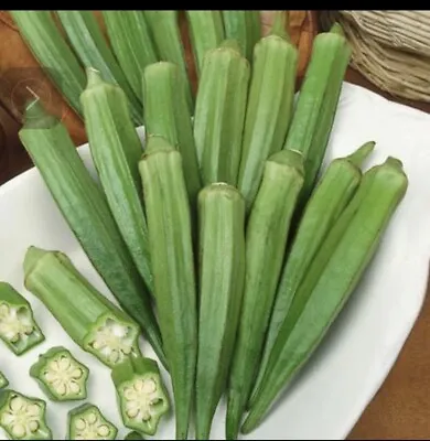 50 Okra Seeds Clemsons Spineless Gumbo Ladies Finger Vegetable Seeds For Growing • £3