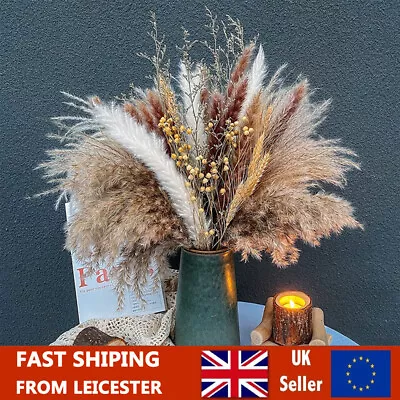 21Pcs Pampas Grass Fluffy Natural Dried Flowers Bouquet Floral Plants Home Decor • £5.99