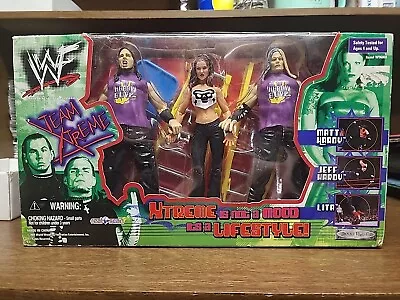 WWF Jakks Team Xtreme Lita & The Hardy Boyz Jeff & Matt Hardy Action Figures WWE • $100