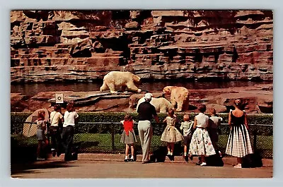 $7.99 • Buy Detroit MI-Michigan, View Of Bear's Den, Detroit Zoo, Chrome Postcard