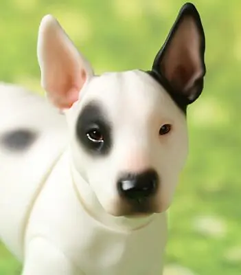 1/6 BJD Doll Iple Pet Dog Bull Terrier B -Free Face Make Up+Body Make UP+Eyes • $169.38
