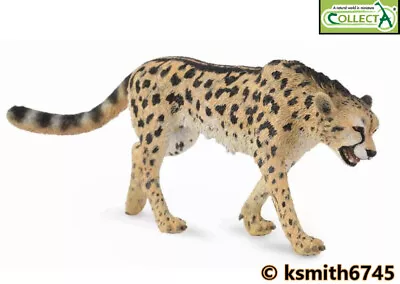 £7.10 • Buy CollectA KING CHEETAH Solid Plastic Toy Wild Zoo Animal Cat Predator * NEW 💥