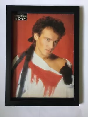 ADAM ANT-1983 Framed Picture • £16.99