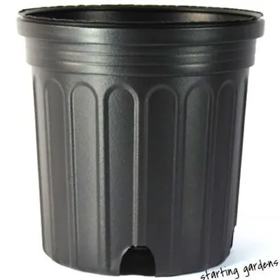 1 Gallon Nursery Pot Trade Gallon Flower Pot (Qty. 100) Trade One Gallon • $42.99