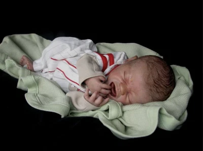 £39.99 • Buy Quinton, By Marissa May (20  Reborn Doll Kit)  