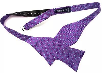 DANIEL CREMIEUX Bow Tie 100% Silk Purple Blue Self Tie Adjustable Bowtie Dots • $11.95