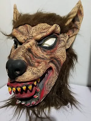 Werewolf  Mask Latex Material  Costume Wolf Mask Adult  • $25