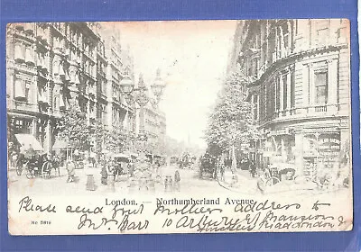 London NORTHUMBERLAND AVENUE Usd 1902 Miss Mackenzie 11 Sudeley Terrace Kemptown • £4.99