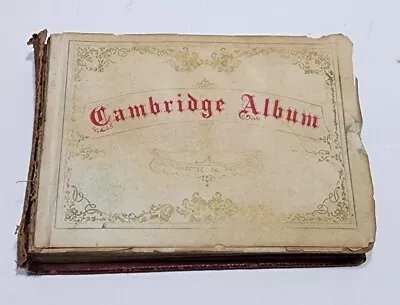 131 Tin Type Portrait Photographs In Cambridge Album Estate Find Please Read • $200